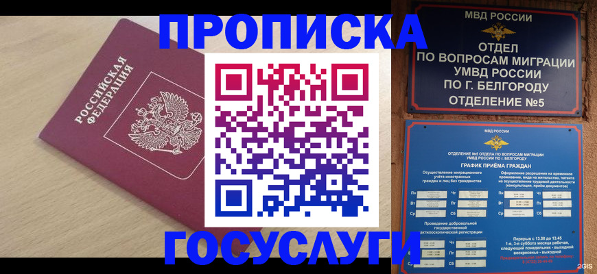 прописка законно в Гусеве